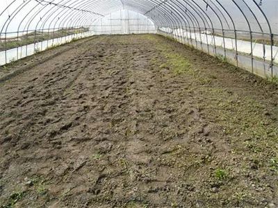 土壤养分测试仪