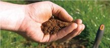 调整土壤水分条件的基础是使用土壤水分速测仪