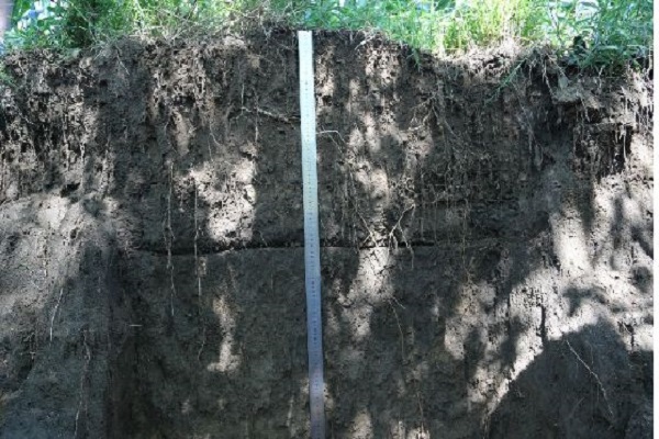 便携式土壤墒情速测仪