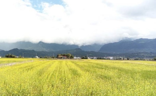 土壤水势测定仪