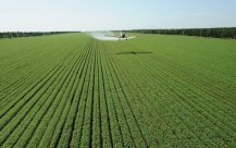 土壤墒情速测仪在农业灌溉中的作用