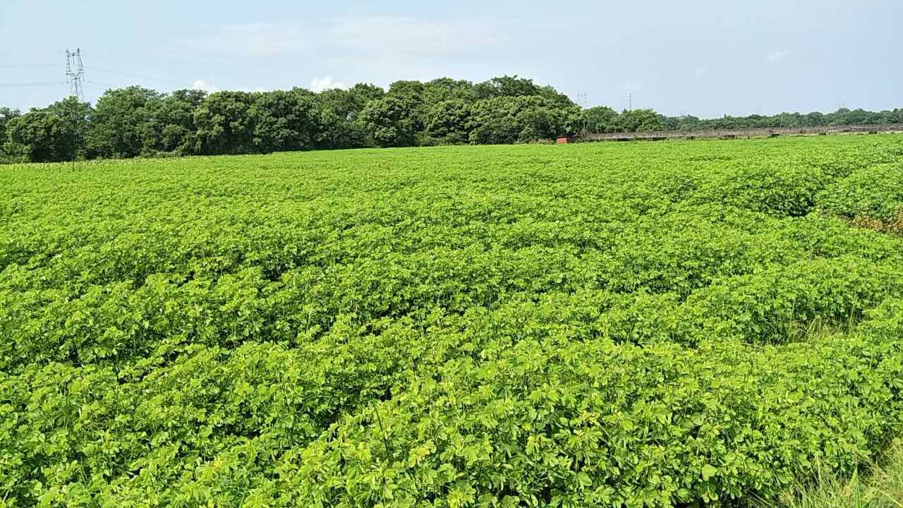 土壤水分测定仪