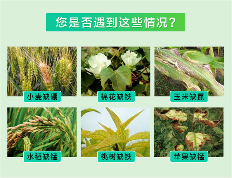 土壤养分测试仪